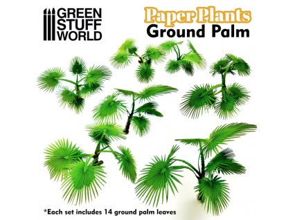 paper plants ground palm