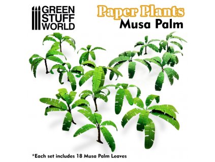 paper plants musa trees