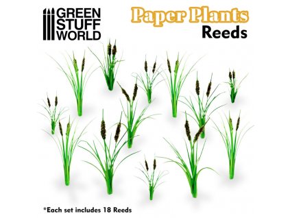 paper plants reeds