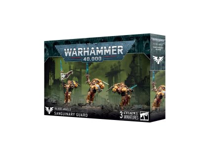 https trade.games workshop.com assets 2024 10 TR 41 31 99120101413Warhammer 40000 Blood Angels Sanguinary Guard