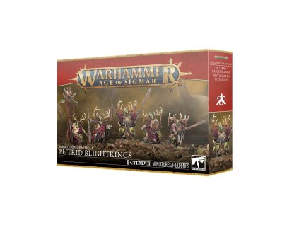 99120201210 WEBMaggotkinNurgleBlightKingsBox