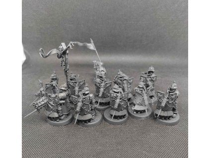 Cities of Sigmar 20x Freeguild Fusilliers (Bazar)