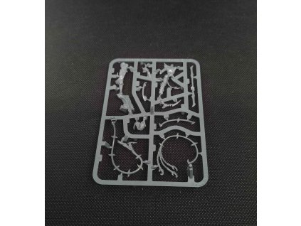 Daughters of Khaine High Gladiatrix (Bazar)