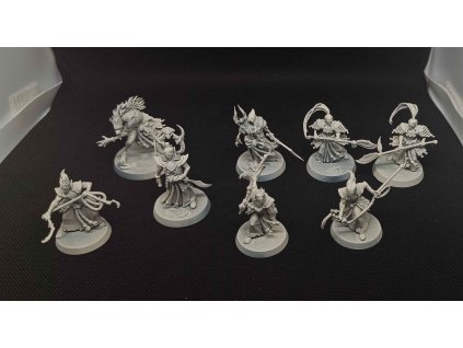 Soulblight Gravelords Askurgan Trueblades (Bazar)