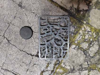 Sylvaneth Branchwych (Bazar)