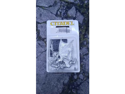 Dark Elves Morathi on Dark Pegasus (Bazar)