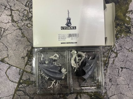 sister on forest dragon