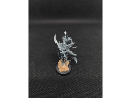 Drukhari Archon (Bazar)