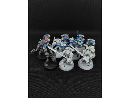 Grey Knights Strike Squad (Bazar)