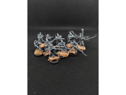 Drukhari Kabalite Warriors (Bazar)
