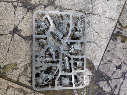 Spave Wolves Lieutenant Haldor Icepelt (Bazar)