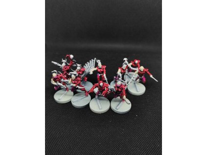 Drukhari Wyches (Bazar)