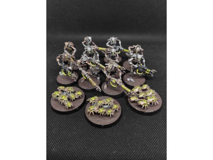 Necrons Warriors (Bazar)