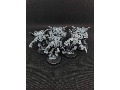 Chaos Space Marines Warp Talons (Bazar)
