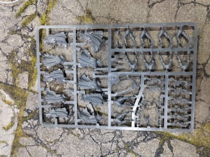 Dark Elves Black Ark Corsairs (Bazar)