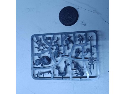 Idoneth Deepkin Akhelian Thrallmaster (Bazar)