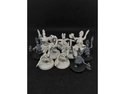 Fyreslayers 20 Vulkite Berzerkers (Bazar)