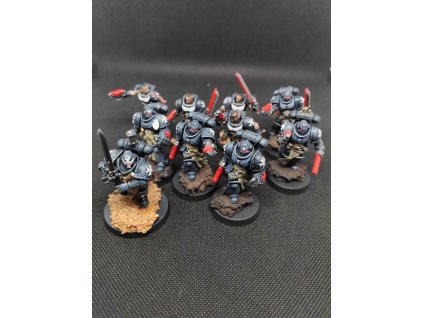 Black Templars Primaris Crusader Squad (Bazar)