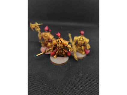Adeptus Custodes Allarus Custodians (Bazar)
