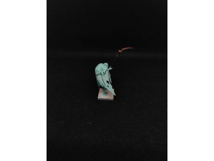 Vampire Counts Cairn Wraith (Bazar)