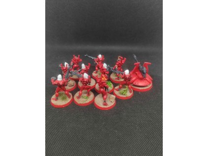 Aeldari Guardians (Bazar)