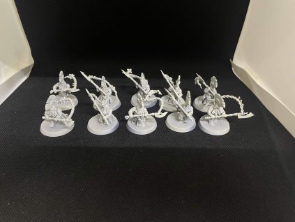 Fyreslayers 10 Hearthguard Berzerkers (Bazar)