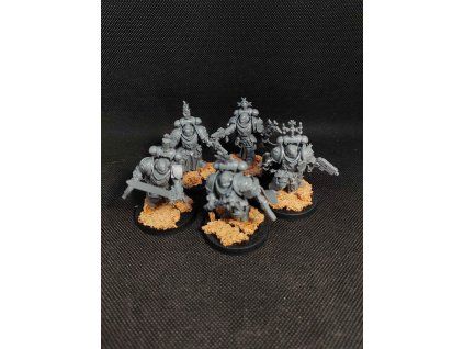 Black Templars Sword Brethren (Bazar)