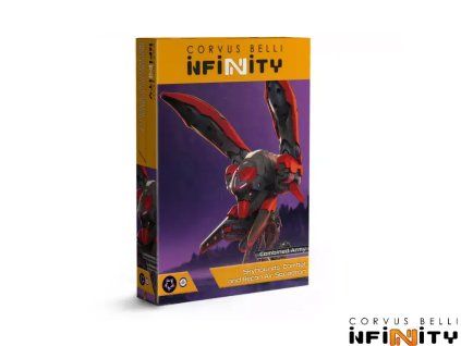 skyhounds combat recon air squadron 4