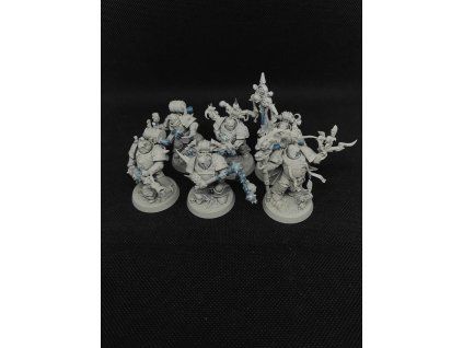 Death Guard Kill Team (Bazar)