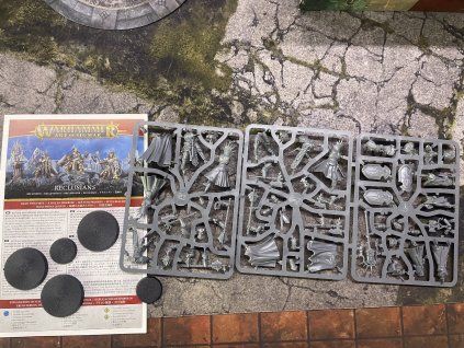Stormcast Eternals Reclusians (Bazar)