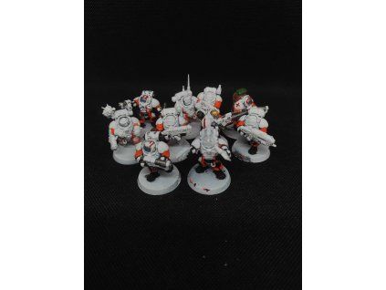 Leagues of Votann Hearthkyn Warriors (Bazar)