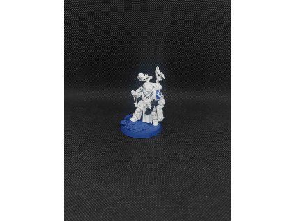 Space Marines Primaris Apothecary (Bazar)