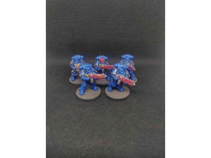 Space Marines Heavy Intercessors (Bazar)
