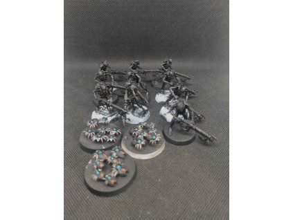Necrons Warriors (Bazar)