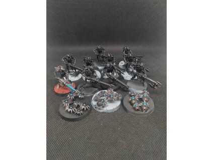 Necrons Warriors (Bazar)