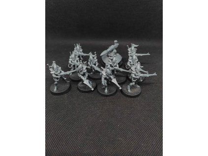 Aeldari Guardians (Bazar)