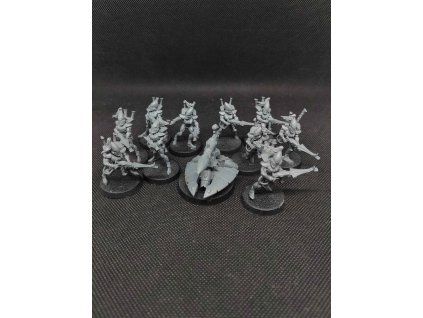 Aeldari Guardians (Bazar)