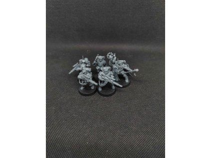 Astra Militarum Tempestus Scions (Bazar)