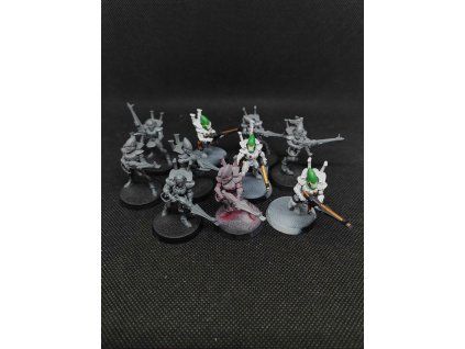Aeldari Guardians (Bazar)