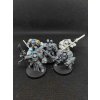 Grey Knights Brotherhood Terminator Squad(Bazar)