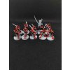 Drukhari Kabalite Warriors (Bazar)