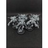 Chaos Space Marines Warp Talons (Bazar)