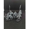 Vampire Counts Black Knights (Bazar)