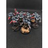 Black Templars Primaris Crusader Squad (Bazar)