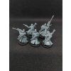 Aeldari Rangers (Bazar)