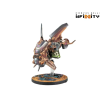 haytham aero unit 1