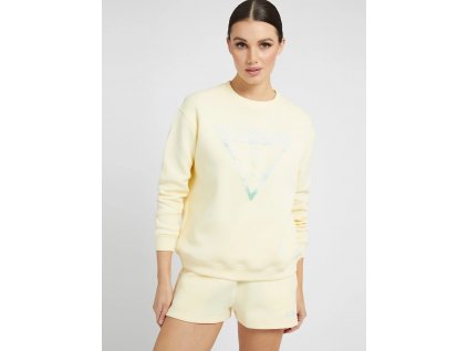 V2GQ14FL04P G2B3 (kopie)