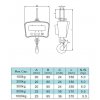OCS-M 500 kg Jeřábová váha
