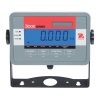 T32M Indicator LCD Straight On kg