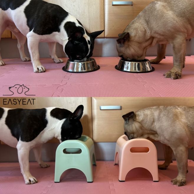 Rozdíl je vidět na první pohled 👀. Misky @easyeatofficial pomáhají pejskům jíst v přirozenější pozici, šetří krční páteř a...